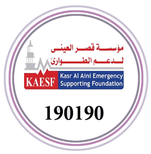 Kasr Al Aini Emergency